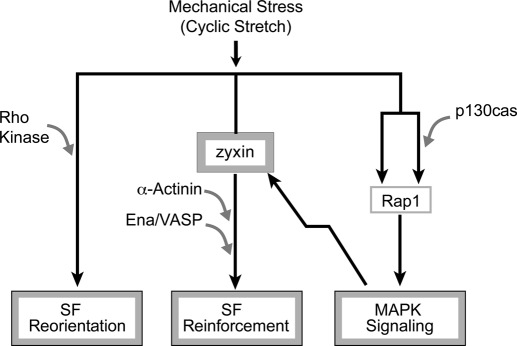 FIGURE 9: