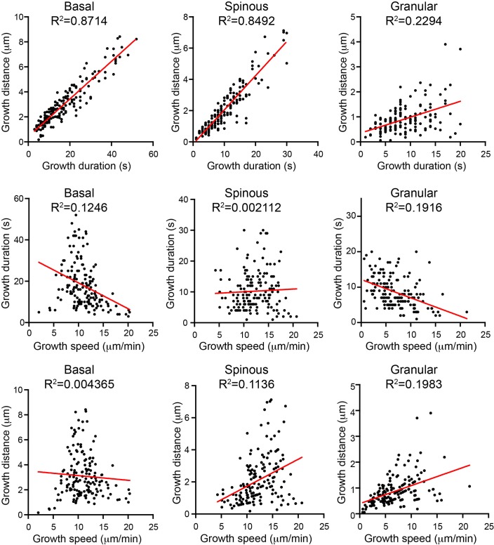 Figure 1—figure supplement 2.