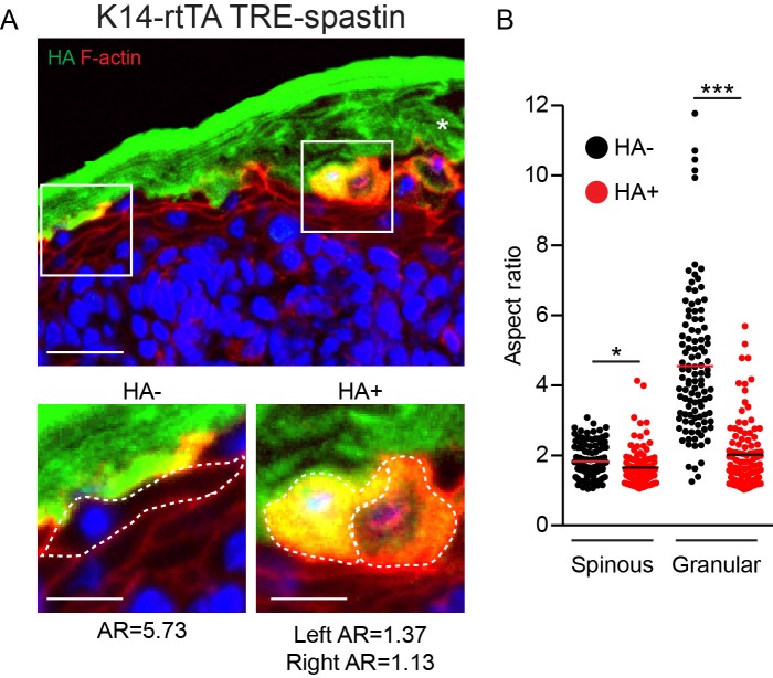 Figure 4—figure supplement 3.