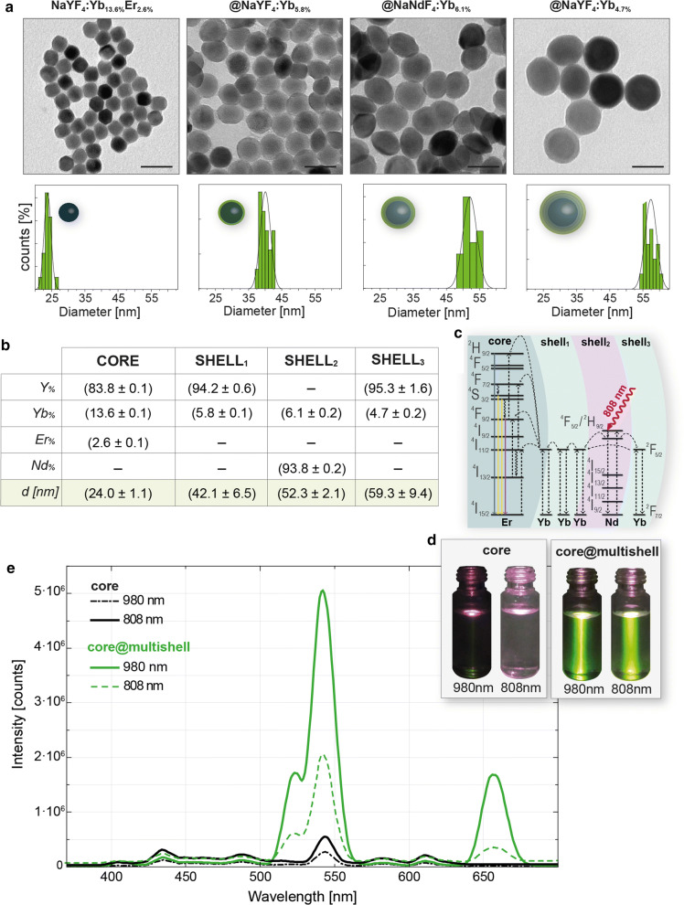 Fig. 1