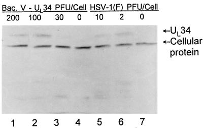 FIG. 8