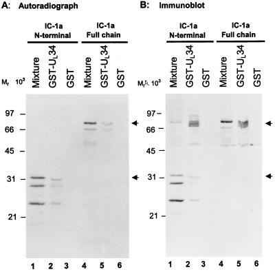 FIG. 5