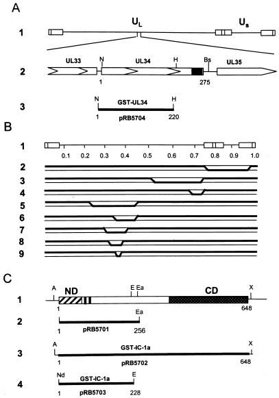 FIG. 1