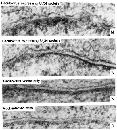 FIG. 10