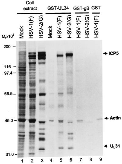 FIG. 6