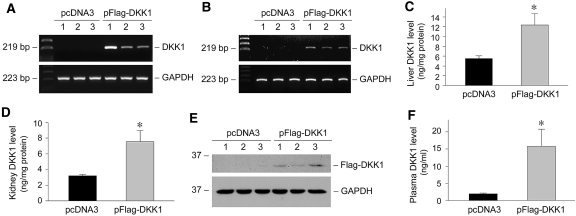 Figure 7.