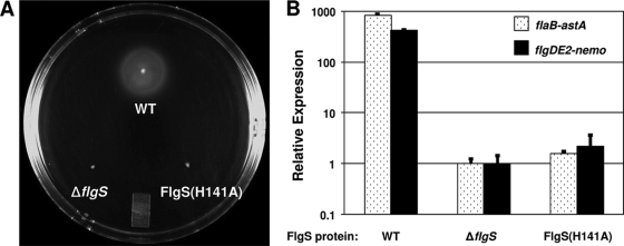 FIG. 2.