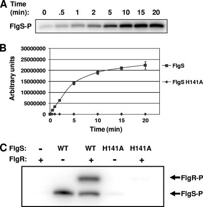 FIG. 3.