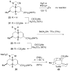 SCHEME 6