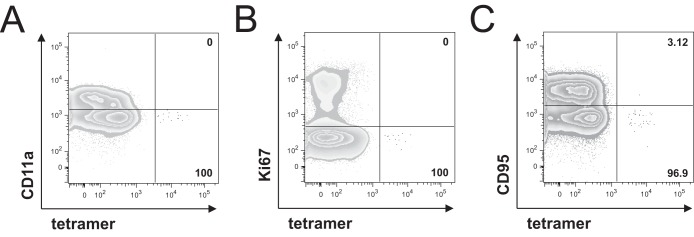 FIG 3