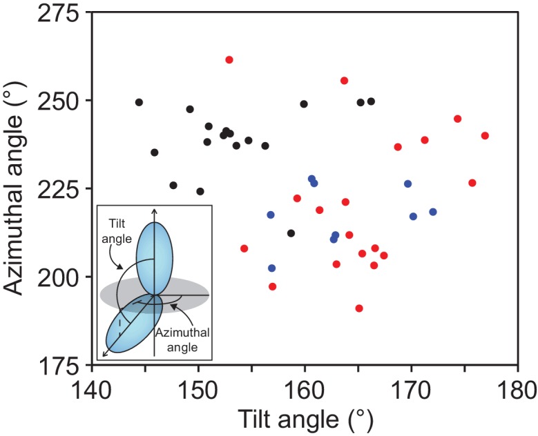 Figure 1—figure supplement 2.