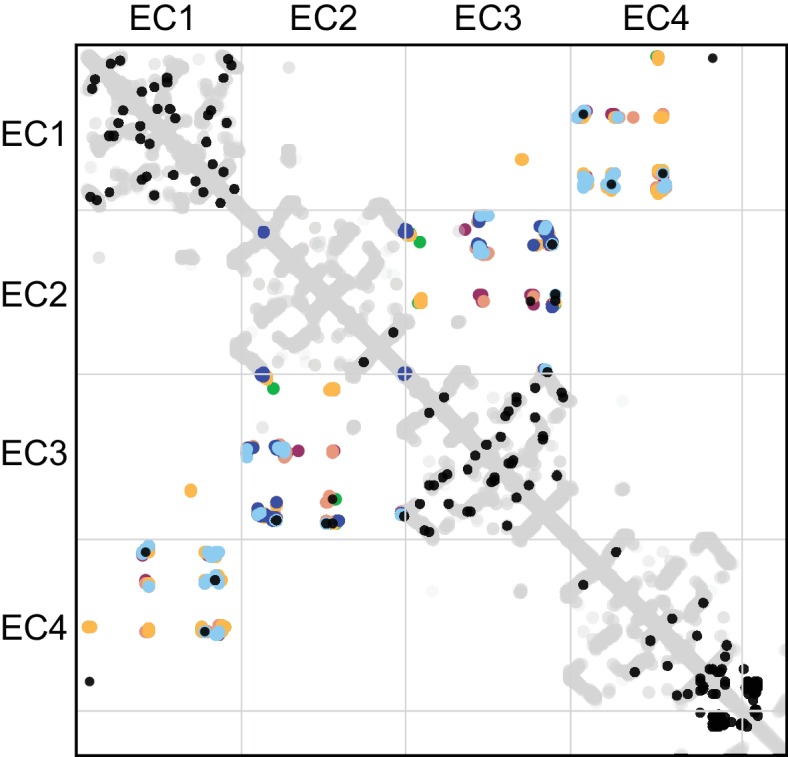 Figure 4—figure supplement 1.