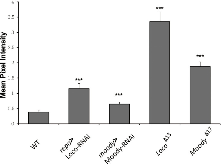 Figure 2—figure supplement 1.