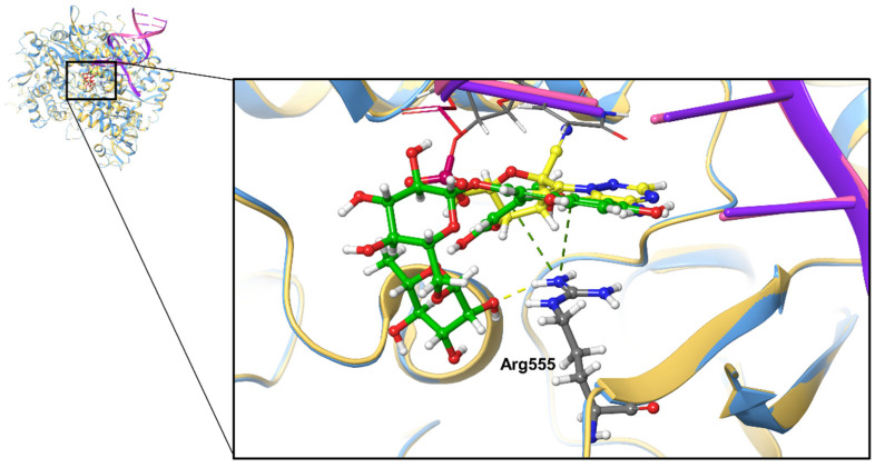 Figure 4