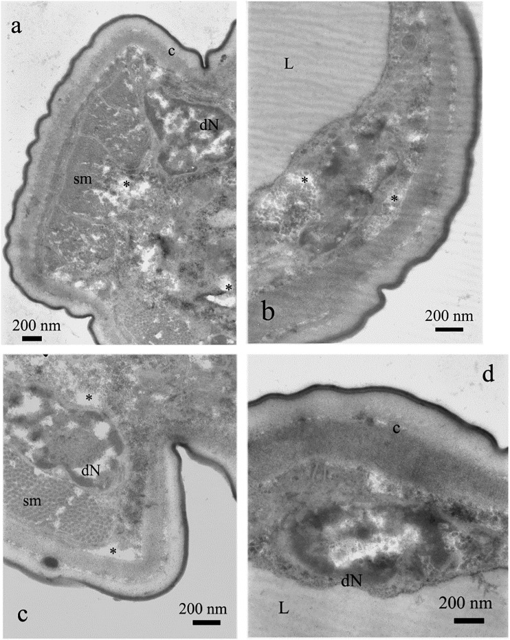 Fig. 9