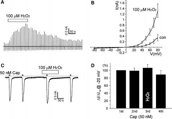 Fig. 4