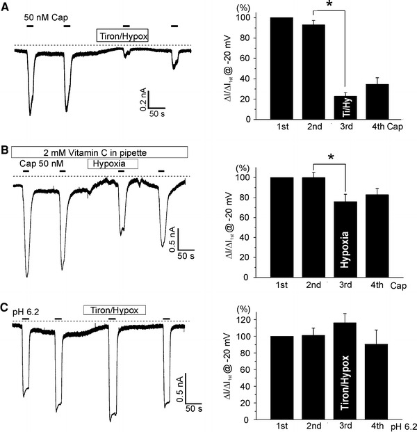 Fig. 6