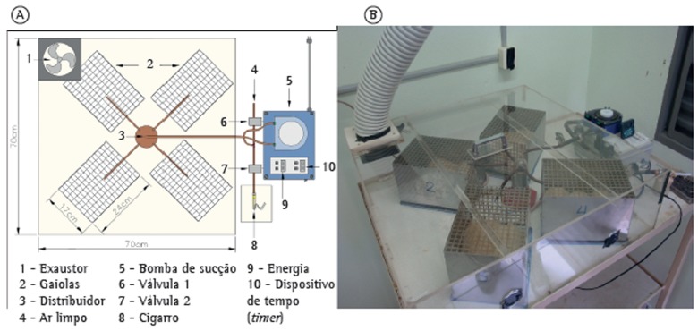 Figura 1