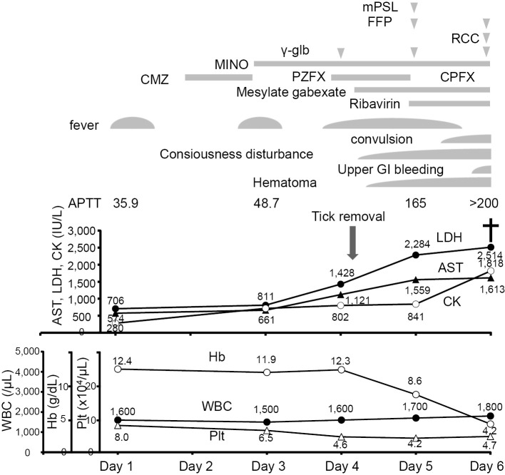 Figure 3.