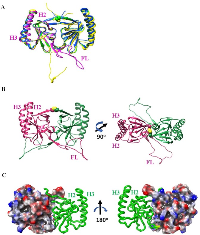 Figure 6