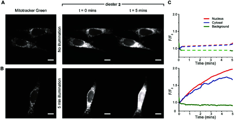 Fig. 5