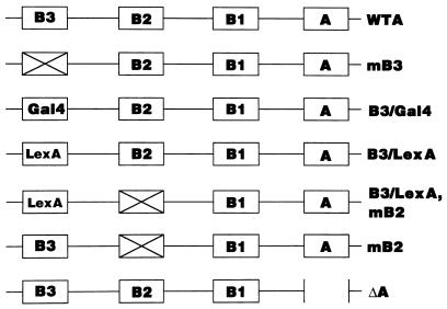 FIG. 1