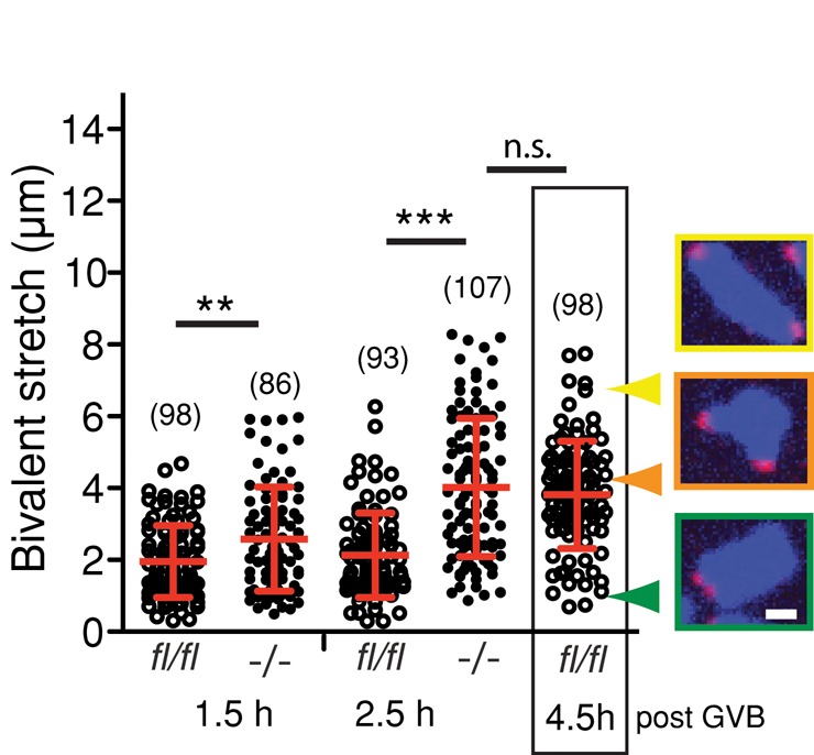 FIGURE 7: