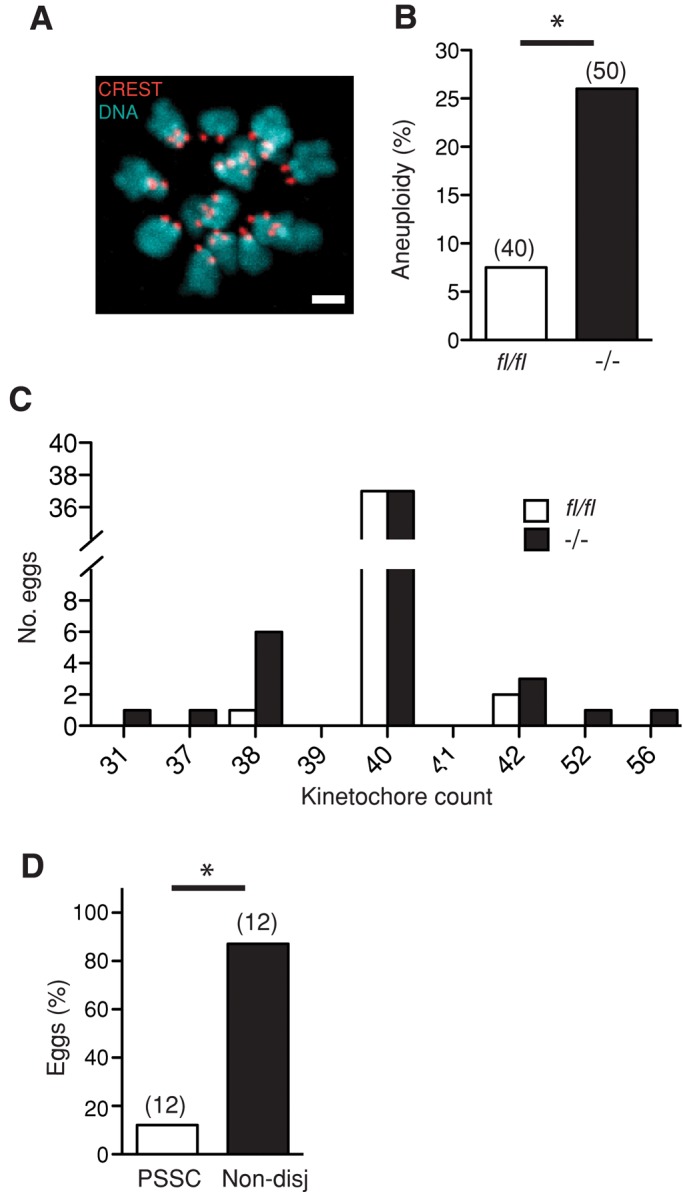 FIGURE 9: