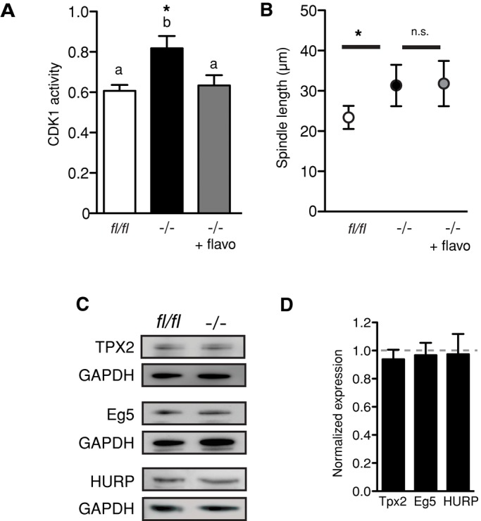 FIGURE 6: