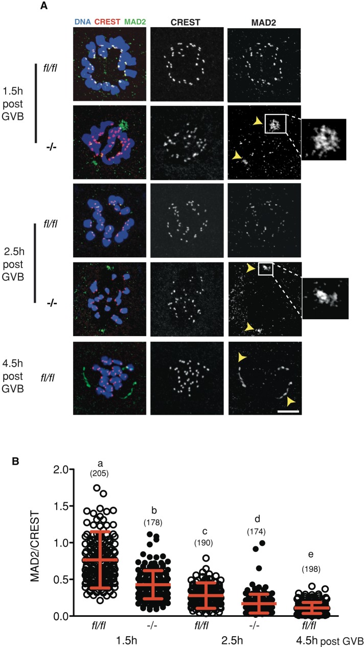 FIGURE 4: