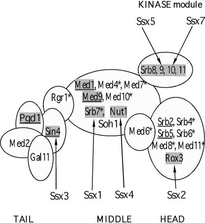 Figure 6.