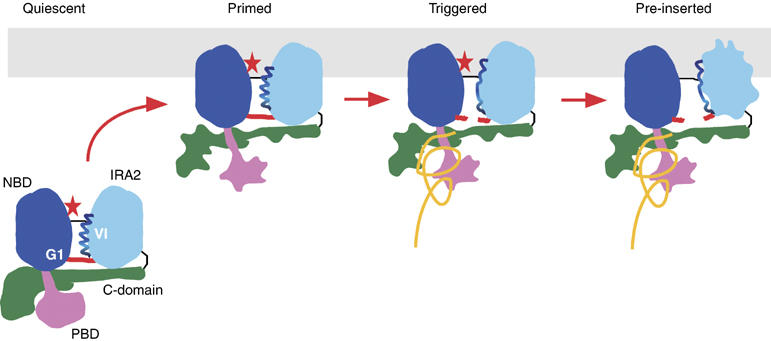 Figure 7