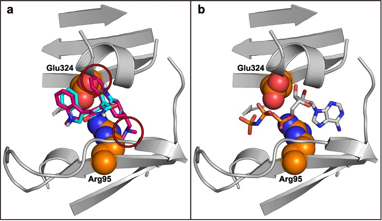 Fig 5