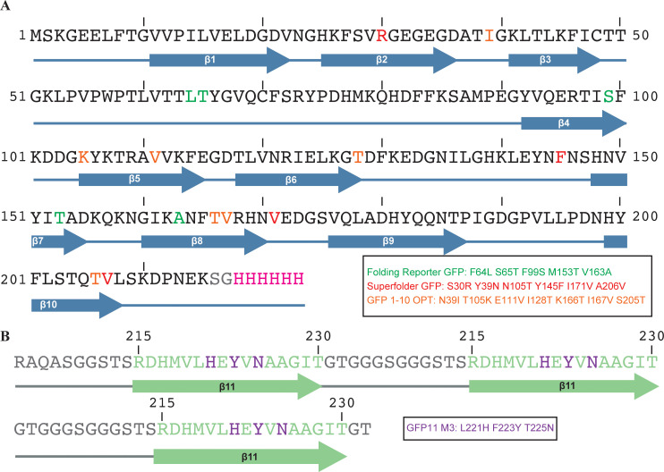 Figure 1—figure supplement 1.