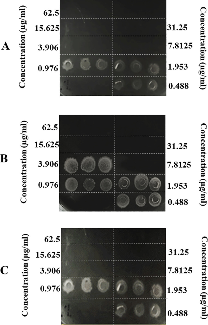 Fig 2