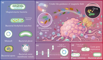 graphic file with name CTI2-13-e1518-g004.jpg