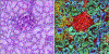 Figure 2|