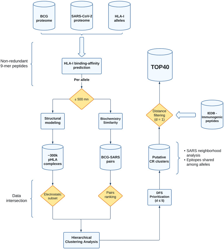 Figure 1