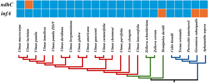 Figure 5