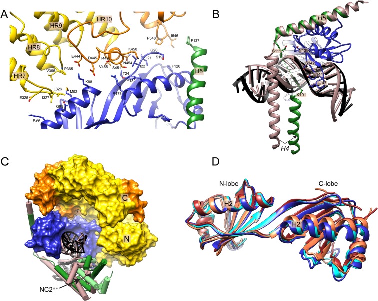 Figure 5—figure supplement 1.