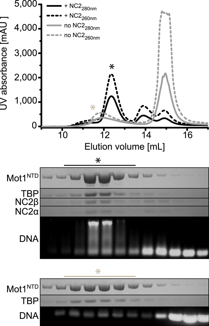 Figure 1—figure supplement 1.