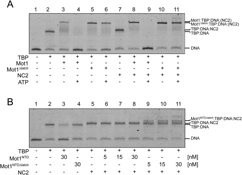 Figure 2.