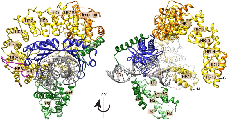 Figure 4.