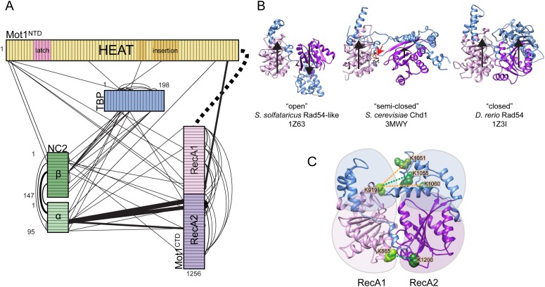 Figure 6.