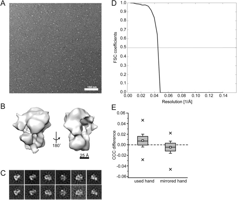 Figure 7—figure supplement 1.