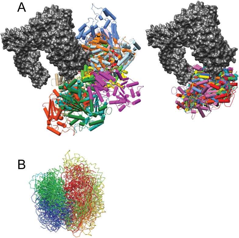 Figure 7—figure supplement 2.