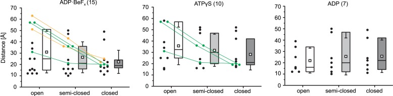 Figure 6—figure supplement 2.