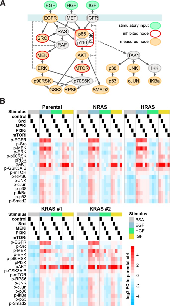 FIGURE 2: