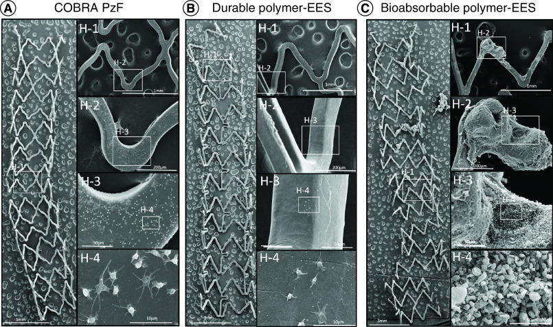 Figure 2. 