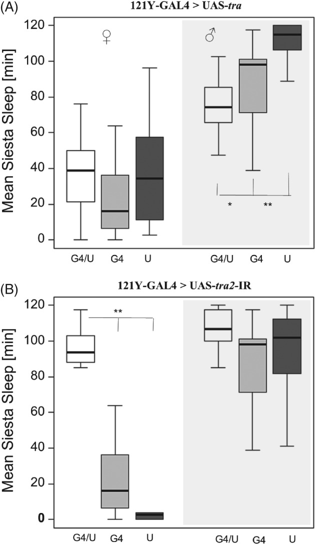 PHEN-12134-FIG-0001-b